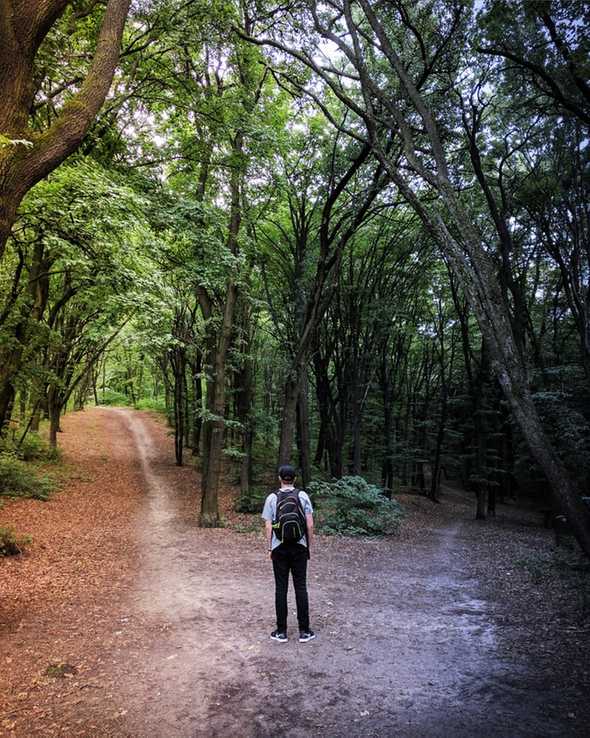 fork in trail